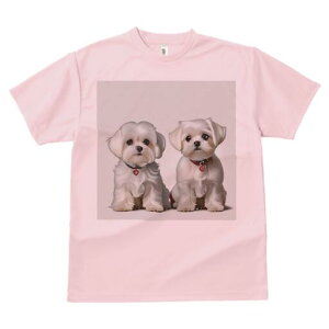 }`[Y TVc  j[NfUCfB[X t@  t vg lJWA 킢 lԗp Mtg I ҏ΍ ybg }`[Y  n[g