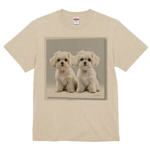 }`[Y TVc  j[NfUCfB[X t@  t vg lJWA 킢 lԗp Mtg I ҏ΍ }`[Y