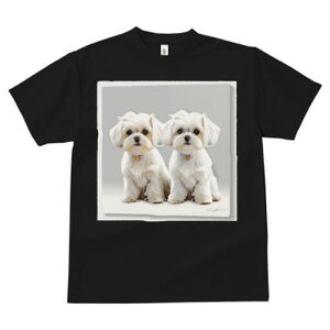 }`[Y TVc  j[NfUCfB[X t@  t vg lJWA 킢 lԗp Mtg I ҏ΍ }`[Y