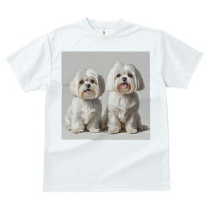 }`[Y TVc  j[NfUCfB[X t@  t vg lJWA 킢 lԗp Mtg I ҏ΍ }`[Y