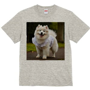 TGh TVc  j[NfUCfB[X t@  t vg lJWA 킢 lԗp Mtg I ҏ΍ hX TGh