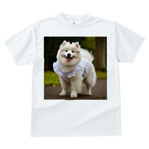 TGh TVc  j[NfUCfB[X t@  t vg lJWA 킢 lԗp Mtg I ҏ΍ hX TGh