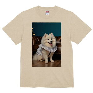 JapaneseSpitz TVc  j[NfUCfB[X t@  t vg lJWA 킢 lԗp Mtg I ҏ΍ \t@ JapaneseSpitz wi