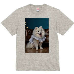 JapaneseSpitz T�V���c ���� ���j�[�N�f�U�C�������Y �L�b�Y ���t�@�� ���� �t�� �v�����g ��l�J�W���A�� ���킢�� �l�ԗp �M�t�g ���I �ҏ��΍� �\�t�@ JapaneseSpitz �w�i