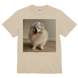 {Xsbc TVc  j[NfUCfB[X t@  t vg lJWA 킢 lԗp Mtg I ҏ΍ Xq {Xsbc