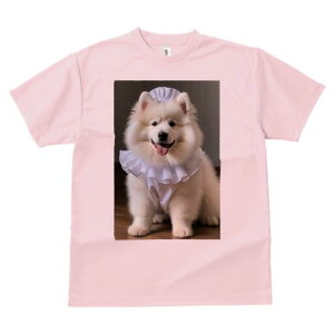 �T���G�h T�V���c ���� ���j�[�N�f�U�C�����f�B�[�X ���t�@�� ���� �t�� �v�����g ��l�J�W���A�� ���킢�� �l�ԗp �M�t�g ���I �ҏ��΍� �R�X�`���[�� �T���G�h �t����