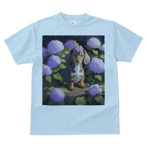 _bNXth TVc  j[NfUCfB[X t@  t vg lJWA 킢 lԗp Mtg I ҏ΍ AWTC _bNXth 