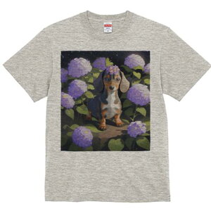 _bNXth TVc  j[NfUCfB[X t@  t vg lJWA 킢 lԗp Mtg I ҏ΍ AWTC _bNXth 