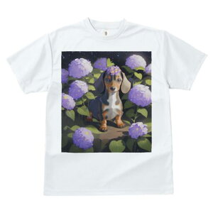 _bNXth TVc  j[NfUCY LbY t@  t vg lJWA 킢 lԗp Mtg I ҏ΍ AWTC _bNXth 