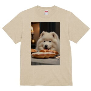 _bNXth TVc  j[NfUCY LbY t@  t vg lJWA 킢 lԗp Mtg I ҏ΍ AWTC _bNXth 