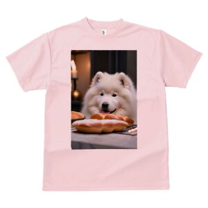 _bNXth TVc  j[NfUCfB[X t@  t vg lJWA 킢 lԗp Mtg I ҏ΍ AWTC _bNXth 