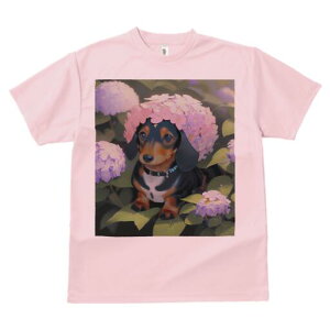 _bNXth TVc  j[NfUCfB[X t@  t vg lJWA 킢 lԗp Mtg I ҏ΍  _bNXth AWTC