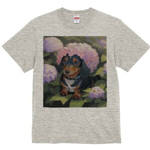 _bNXth TVc  j[NfUCfB[X t@  t vg lJWA 킢 lԗp Mtg I ҏ΍  _bNXth AWTC