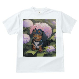 _bNXth TVc  j[NfUCY LbY t@  t vg lJWA 킢 lԗp Mtg I ҏ΍  _bNXth AWTC