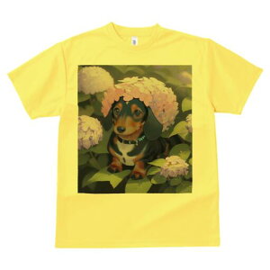 _bNXth TVc  j[NfUCY LbY t@  t vg lJWA 킢 lԗp Mtg I ҏ΍  _bNXth AWTC