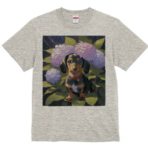 _bNXth TVc  j[NfUCfB[X t@  t vg lJWA 킢 lԗp Mtg I ҏ΍ AWTC _bNXth  