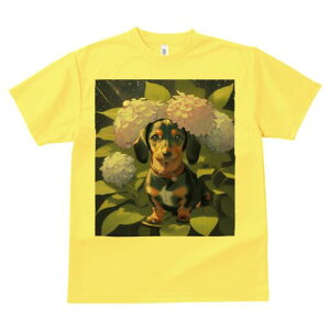 _bNXth TVc  j[NfUCY LbY t@  t vg lJWA 킢 lԗp Mtg I ҏ΍ AWTC _bNXth  