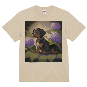 _bNXth TVc  j[NfUCY LbY t@  t vg lJWA 킢 lԗp Mtg I ҏ΍ AWTC _bNXth  