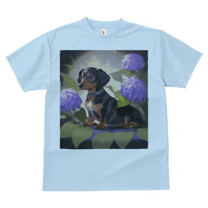 _bNXth TVc  j[NfUCY LbY t@  t vg lJWA 킢 lԗp Mtg I ҏ΍ AWTC _bNXth  