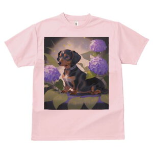 _bNXth TVc  j[NfUCfB[X t@  t vg lJWA 킢 lԗp Mtg I ҏ΍ AWTC _bNXth  