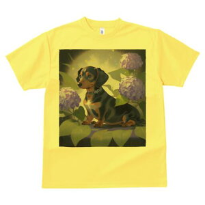 _bNXth TVc  j[NfUCfB[X t@  t vg lJWA 킢 lԗp Mtg I ҏ΍ AWTC _bNXth  