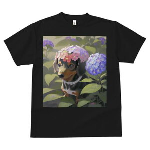 _bNXth TVc  j[NfUCfB[X t@  t vg lJWA 킢 lԗp Mtg I ҏ΍  _bNXth AWTC