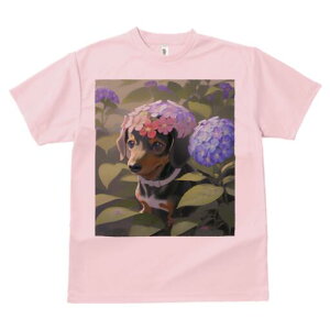 _bNXth TVc  j[NfUCfB[X t@  t vg lJWA 킢 lԗp Mtg I ҏ΍  _bNXth AWTC