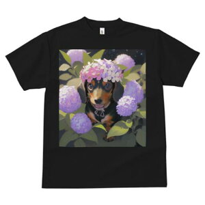 _bNXth TVc  j[NfUCfB[X t@  t vg lJWA 킢 lԗp Mtg I ҏ΍ AWTC _bNXth Ԋ