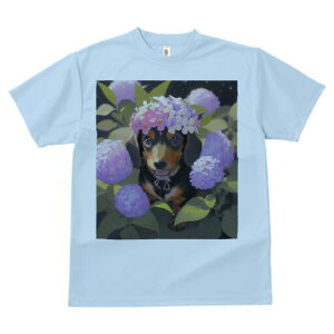 _bNXth TVc  j[NfUCY LbY t@  t vg lJWA 킢 lԗp Mtg I ҏ΍ AWTC _bNXth Ԋ