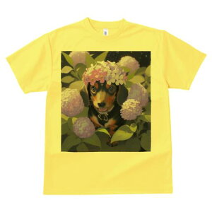 _bNXth TVc  j[NfUCY LbY t@  t vg lJWA 킢 lԗp Mtg I ҏ΍ AWTC _bNXth Ԋ