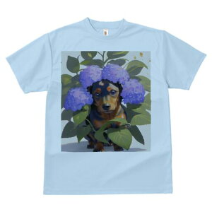 ~j`A_bNXth TVc  j[NfUCfB[X t@  t vg lJWA 킢 lԗp Mtg I ҏ΍ AWTC ~j`A_bNXt