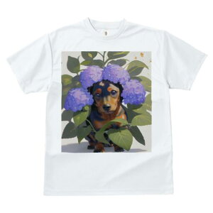 ~j`A_bNXth TVc  j[NfUCfB[X t@  t vg lJWA 킢 lԗp Mtg I ҏ΍ AWTC ~j`A_bNXt