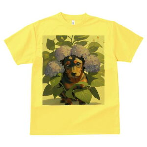 ~j`A_bNXth TVc  j[NfUCfB[X t@  t vg lJWA 킢 lԗp Mtg I ҏ΍ AWTC ~j`A_bNXt