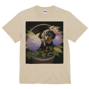 _bNXth TVc  j[NfUCfB[X t@  t vg lJWA 킢 lԗp Mtg I ҏ΍  _bNXth A