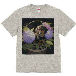 _bNXth TVc  j[NfUCfB[X t@  t vg lJWA 킢 lԗp Mtg I ҏ΍  _bNXth A