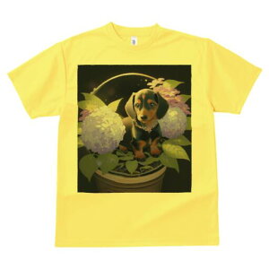 �_�b�N�X�t���h T�V���c ���� ���j�[�N�f�U�C�����f�B�[�X ���t�@�� ���� �t�� �v�����g ��l�J�W���A�� ���킢�� �l�ԗp �M�t�g ���I �ҏ��΍� �� �_�b�N�X�t���h ���A��