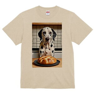 _VA TVc  j[NfUCfB[X t@  t vg lJWA 킢 lԗp Mtg I ҏ΍ p _VA