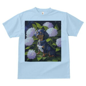 _bNXth TVc  j[NfUCfB[X t@  t vg lJWA 킢 lԗp Mtg I ҏ΍ AWTC _bNXth  