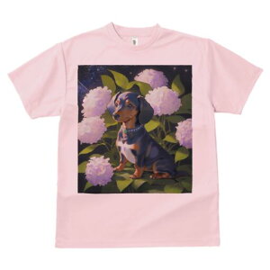 _bNXth TVc  j[NfUCY LbY t@  t vg lJWA 킢 lԗp Mtg I ҏ΍ AWTC _bNXth  