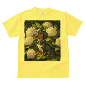 _bNXth TVc  j[NfUCY LbY t@  t vg lJWA 킢 lԗp Mtg I ҏ΍ AWTC _bNXth  