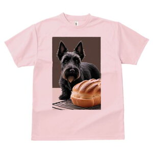 XReBbVeA TVc  j[NfUCfB[X t@  t vg lJWA 킢 lԗp Mtg I ҏ΍ p XReBbVeA