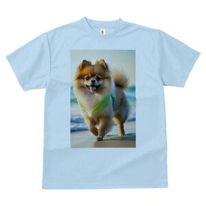 |jA TVc  j[NfUCfB[X t@  t vg lJWA 킢 lԗp Mtg I ҏ΍ r[` |jA C l n[lX