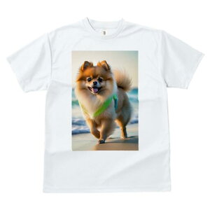 |jA TVc  j[NfUCfB[X t@  t vg lJWA 킢 lԗp Mtg I ҏ΍ r[` |jA C l n[lX