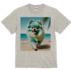|jA TVc  j[NfUCfB[X t@  t vg lJWA 킢 lԗp Mtg I ҏ΍ r[` |jA C  V̖
