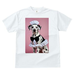 _VA TVc  j[NfUCfB[X t@  t vg lJWA 킢 lԗp Mtg I ҏ΍ Ch _VA {