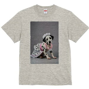 _VA TVc  j[NfUCfB[X t@  t vg lJWA 킢 lԗp Mtg I ҏ΍ Ch _VA t