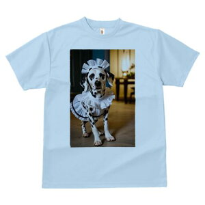 _VA TVc  j[NfUCfB[X t@  t vg lJWA 킢 lԗp Mtg I ҏ΍ Ch _VA RX`[