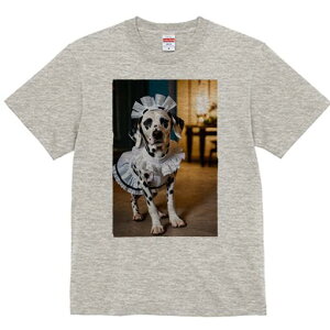 _VA TVc  j[NfUCfB[X t@  t vg lJWA 킢 lԗp Mtg I ҏ΍ Ch _VA RX`[