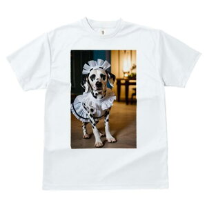 _VA TVc  j[NfUCfB[X t@  t vg lJWA 킢 lԗp Mtg I ҏ΍ Ch _VA RX`[