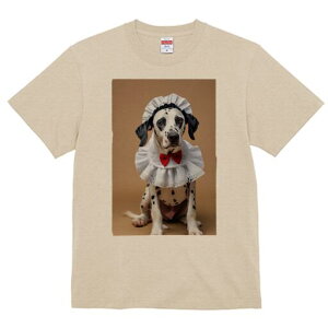 _VA TVc  j[NfUCY LbY t@  t vg lJWA 킢 lԗp Mtg I ҏ΍ Ch _VA ԂlN^C